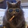 Profilbild von Straycat
