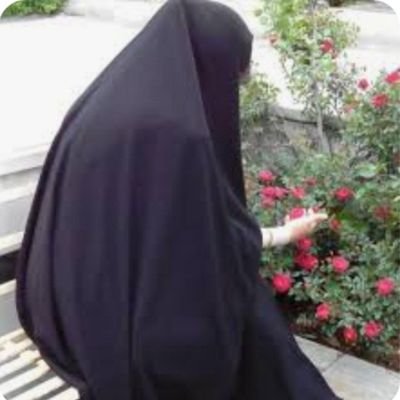 Montazer_313_5's profile picture