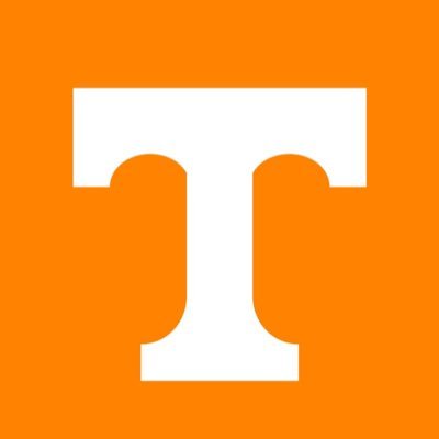 TorresontheVols's profile picture