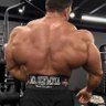 Muscle Admirer AU's profile picture