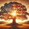 Liberty Seeker 的头像