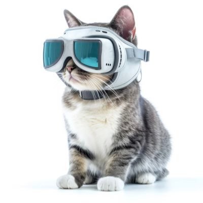 宮ます's profile picture