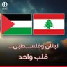 إبن سينا 🇵🇸's profile picture