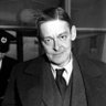 Thomas Stearns Eliot Fake 的头像