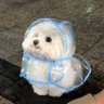 I'm just here for the lmaos profil fotoğrafı