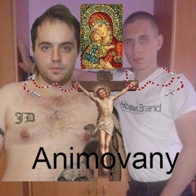 Animovany's profile picture