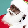 the good and real white Santa (i have Vitiligo)'s profile picture