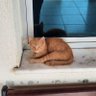 Фото профиля Argeturk