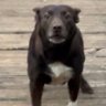 Profilbild von Maxi