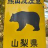 Фото профиля 甲府の熊二郎