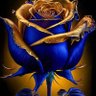 abdo ahmed's profile picture