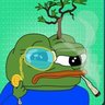 qiqop's profile picture