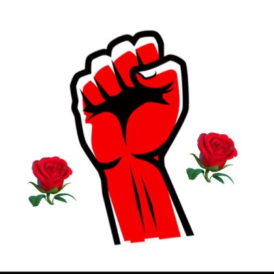 musclemancunt's profile picture