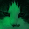 ♱'s profile picture