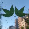日一人偏土2つ's profile picture