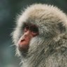 Spanky profil fotoğrafı