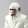 rodolfo moraes's profile picture
