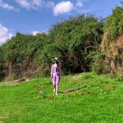 新疆古丽 Xinjiang Guli Diary's profile picture