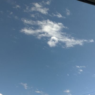 ストーン's profile picture
