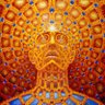 Nodnarb's profile picture