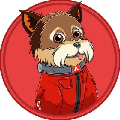 Kimbo's profile picture