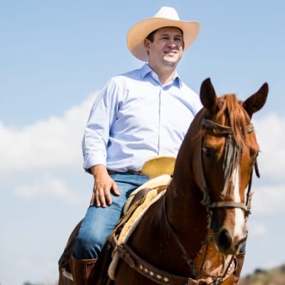 Diego Sinhue Rodríguez Vallejo's profile picture