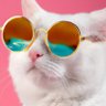 marathecatlover's profile picture