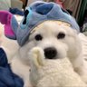 川川川's profile picture