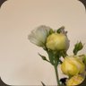 كـَنز profil fotoğrafı