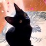 mako 的头像