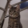 Фото профиля ปุ๊บปั๊บ…ทัวร์💯%