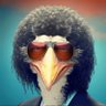 Harry Balzac's profile picture