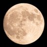 Profilbild von VMoon