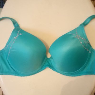 D33A8KTVjNnrTdZ's profile picture