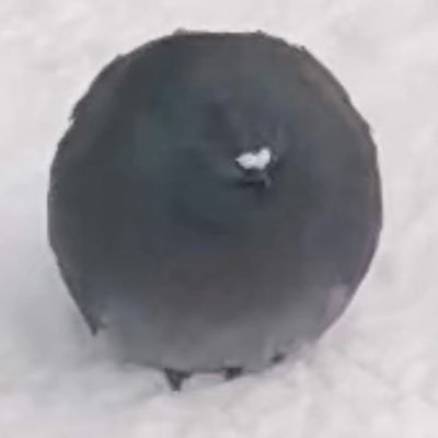 dTaVzQbmHDtVemk's profile picture