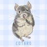 Profilbild von mocomoco_mocotaro