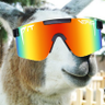 FlyingLlama's profile picture