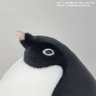 Profilbild von ZanyEllo
