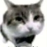 *~°••^'s profile picture