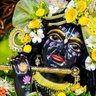 Neru Dhiman's profile picture