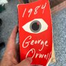 Dan Donnelly profil fotoğrafı