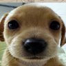 Zayy™ profil fotoğrafı