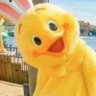 Profilbild von Jay