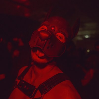 TheFutureJock's profile picture