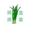 Фото профиля 韭菜嘚吧嘚