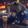 Фото профиля Matt 🐻⬇️
