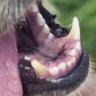 Riley Labydor's profile picture