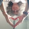 aysegül0660's profile picture