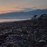 muhammed 的头像