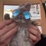Mymindwhereisit's profile picture